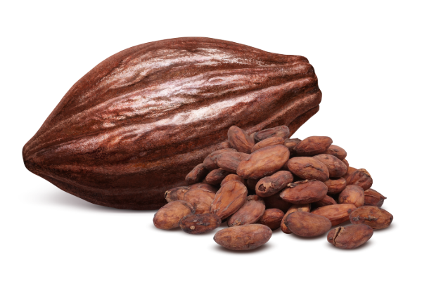 Chocolatería cacao en pepa Nueces Nuez Buffet Bogotá